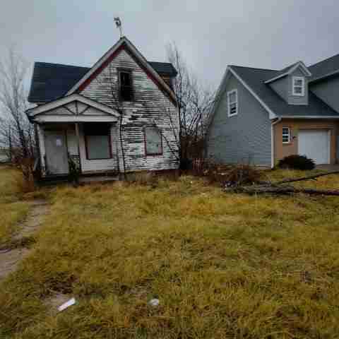 8031 conger (51).jpg